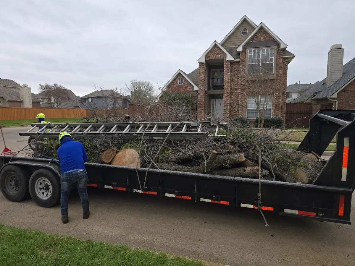 Expert Tree Removal with proper safety equipment in Thorn Hill